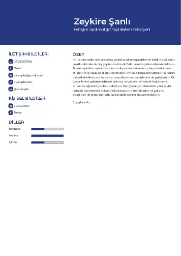 Hasta ve Yaşlı Bakım Elemanı Cv Örnekleri cv indir